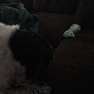 Meet your Posher, Whitney